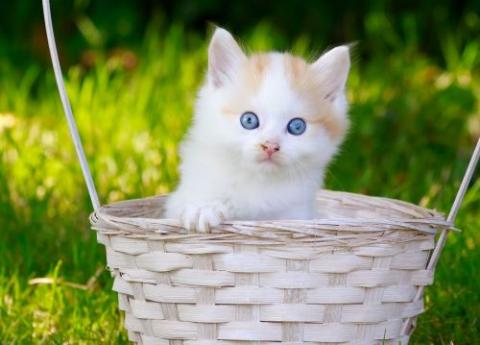 Felszállásra készen 