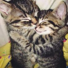 Szeressük egymást, gyerekek!