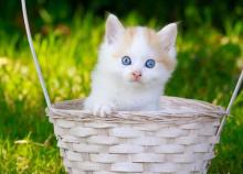 Felszállásra készen 